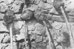 Les photographies du génocides arméniens